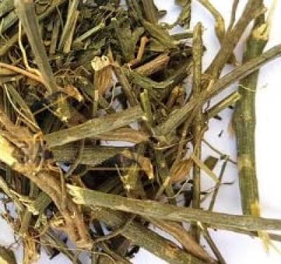Buy Pure Chirata | Benefits, Uses and Health Properties